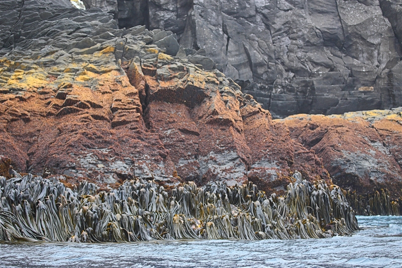 Antipodes  AtSea  0660 m Coastal View